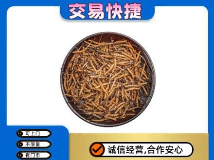 哈尔滨五常高价回收散虫草